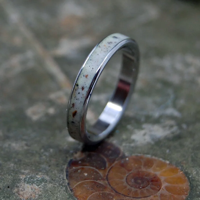 custom-designed rings -Joshua Tree Desert Sand | Men's Desert Sand & Titanium Wedding Ring